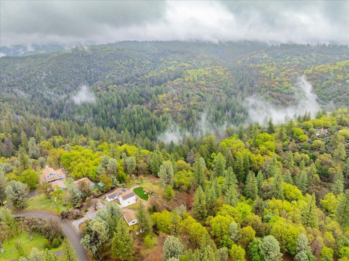 2227 Swansboro Road Placerville, CA 95667 - Photo 52 of 59