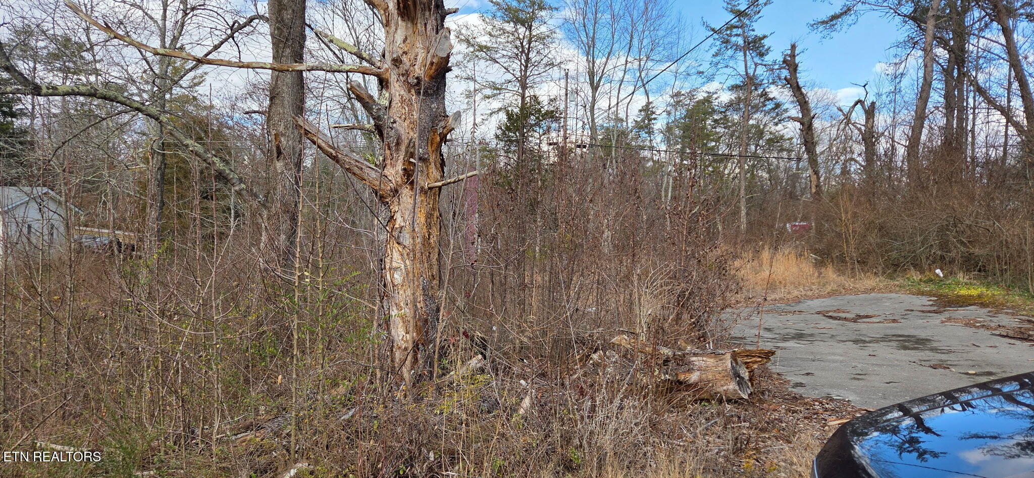 604 Knepp Circle Jamestown, TN 38556 - Photo 6 of 15 IMG_20260119_160423 (4)