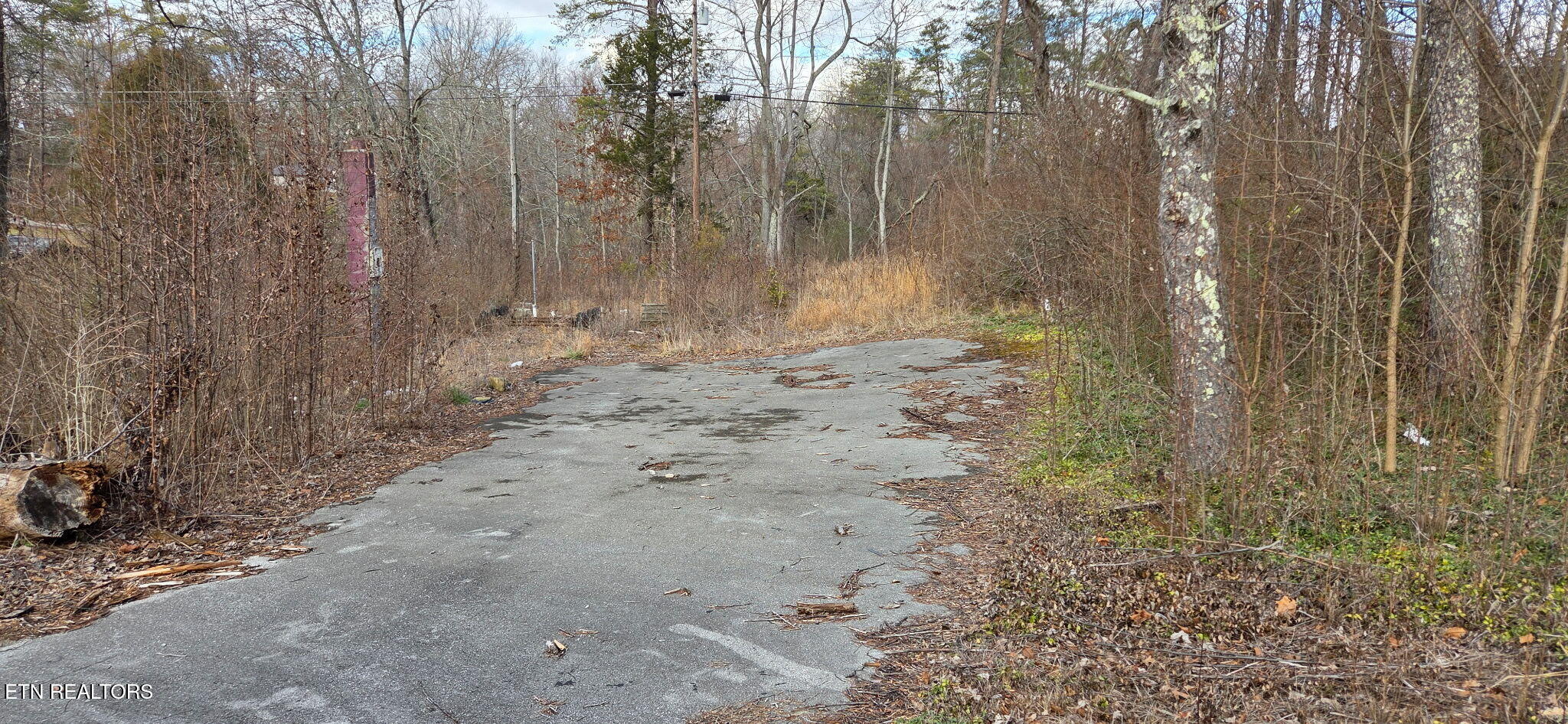 604 Knepp Circle Jamestown, TN 38556 - Photo 7 of 15 IMG_20260119_160423 (5)