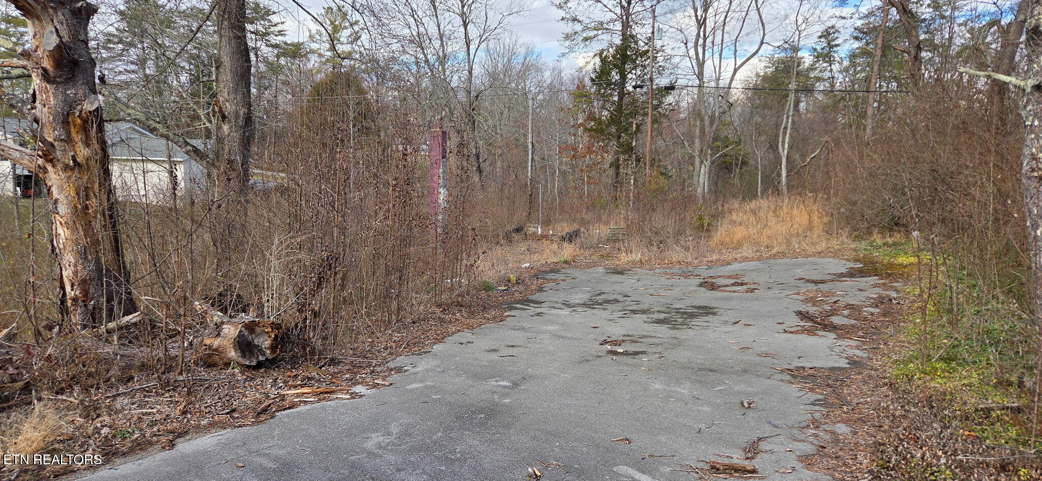 604 Knepp Circle Jamestown, TN 38556 - Photo 9 of 15 IMG_20260119_160423 (7)
