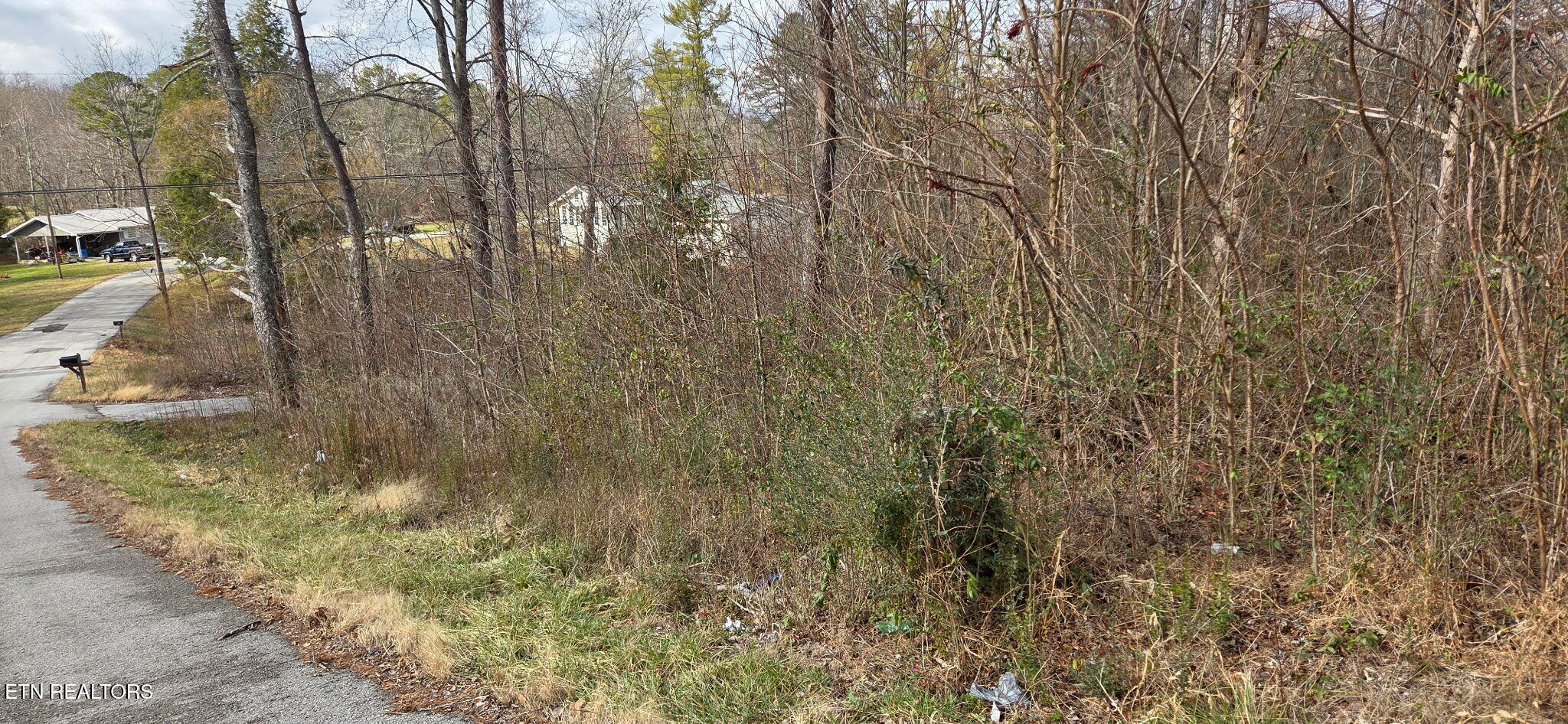 604 Knepp Circle Jamestown, TN 38556 - Photo 10 of 15 IMG_20260119_160423 (9)