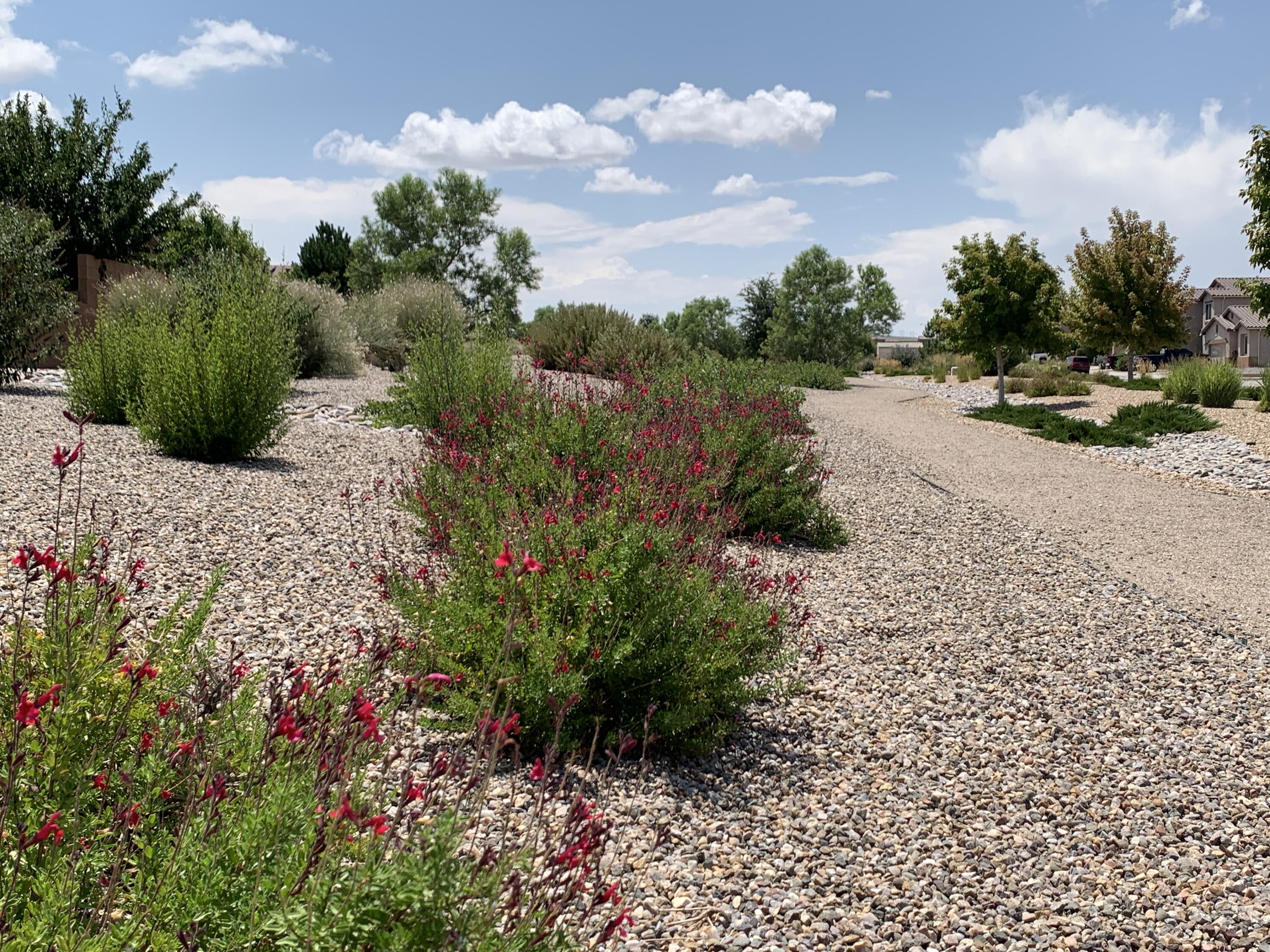8335 Groundsel Road Northwest Albuquerque, NM 87120 - Photo 44 of 50 Gallery Image 44