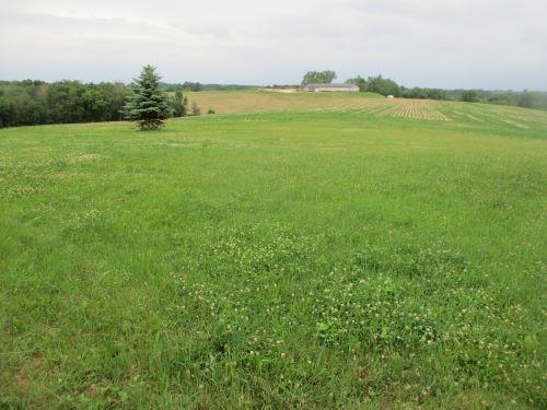 S7204 Sandusky Road Hillpoint, WI 53937 - Photo 8 of 12