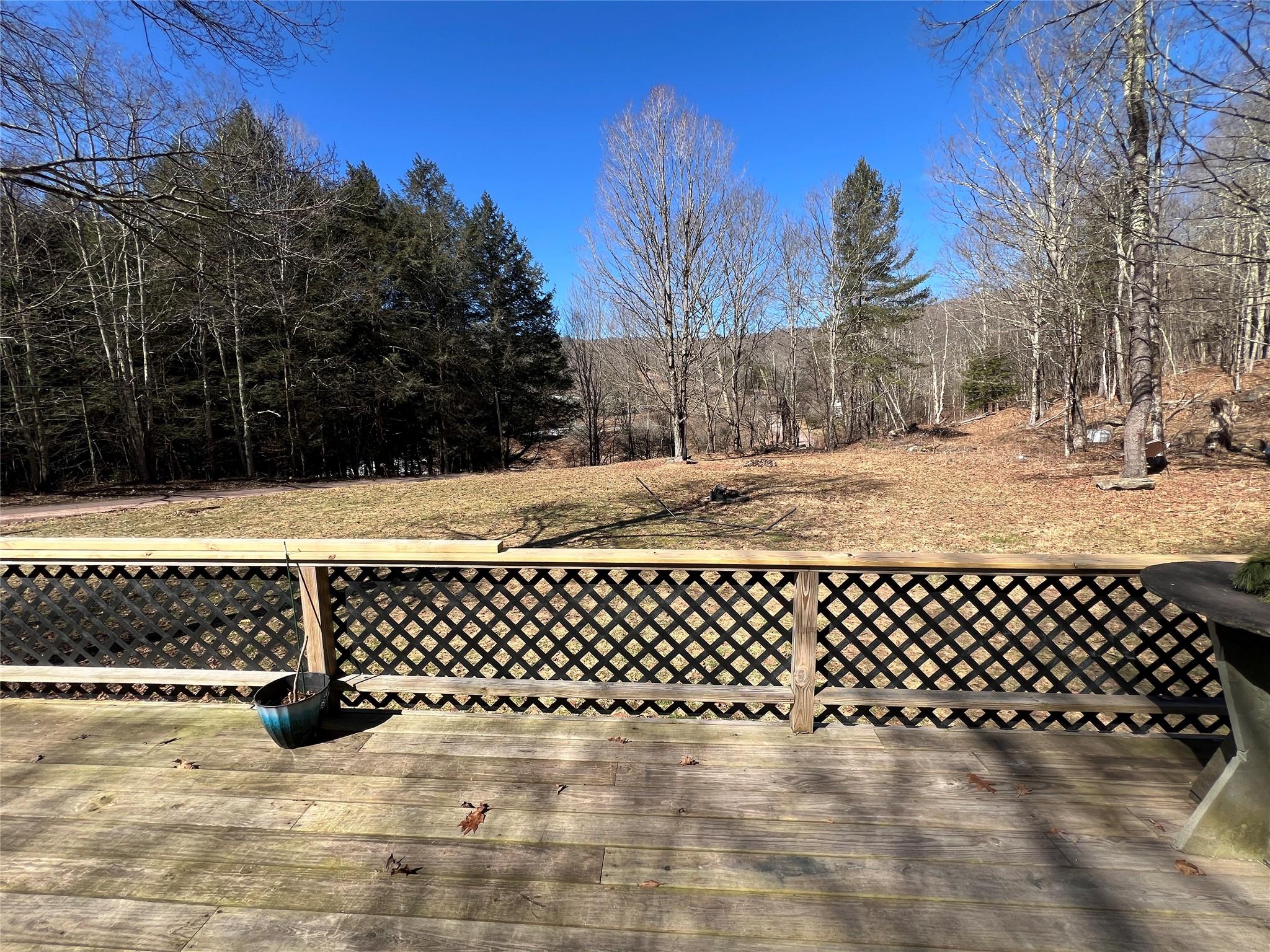 734 Shaver Hollow Road Andes, NY 13731 - Photo 3 of 9 View of wooden deck