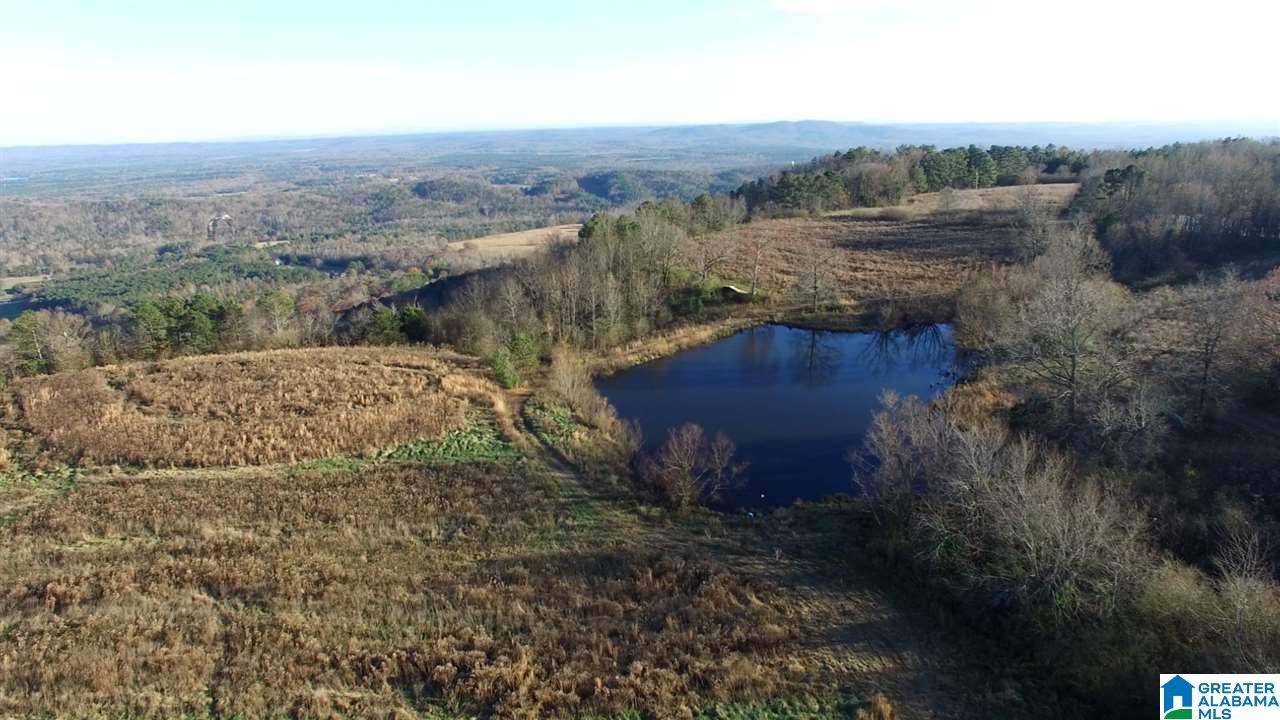 0 County Road 24, Unit 49 / ACRES Springville, AL 35146 - Photo 16 of 18