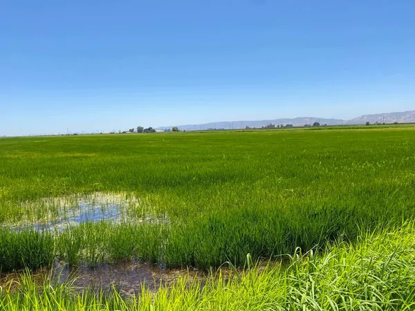 $450,000 | 0 County Road 29a, Winters, CA 95695