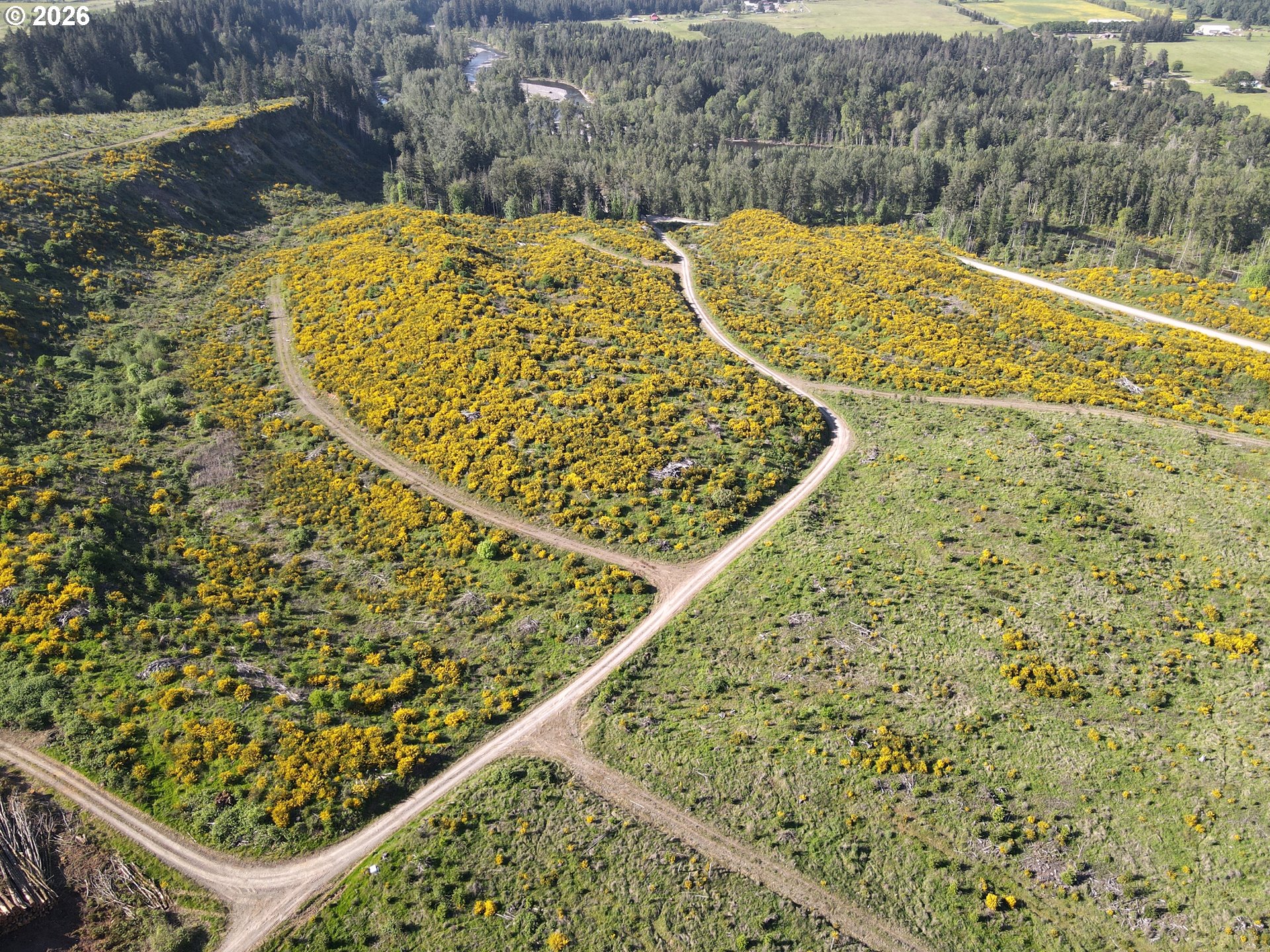 South Ellis Road Molalla, OR 97038 - Photo 5 of 19