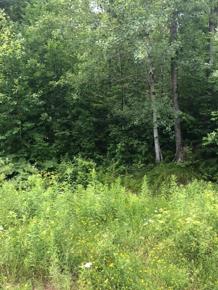 Lot 4 Glacier Ridge Road Crandon, WI 54520 - Photo 4 of 4 Gallery Image 4