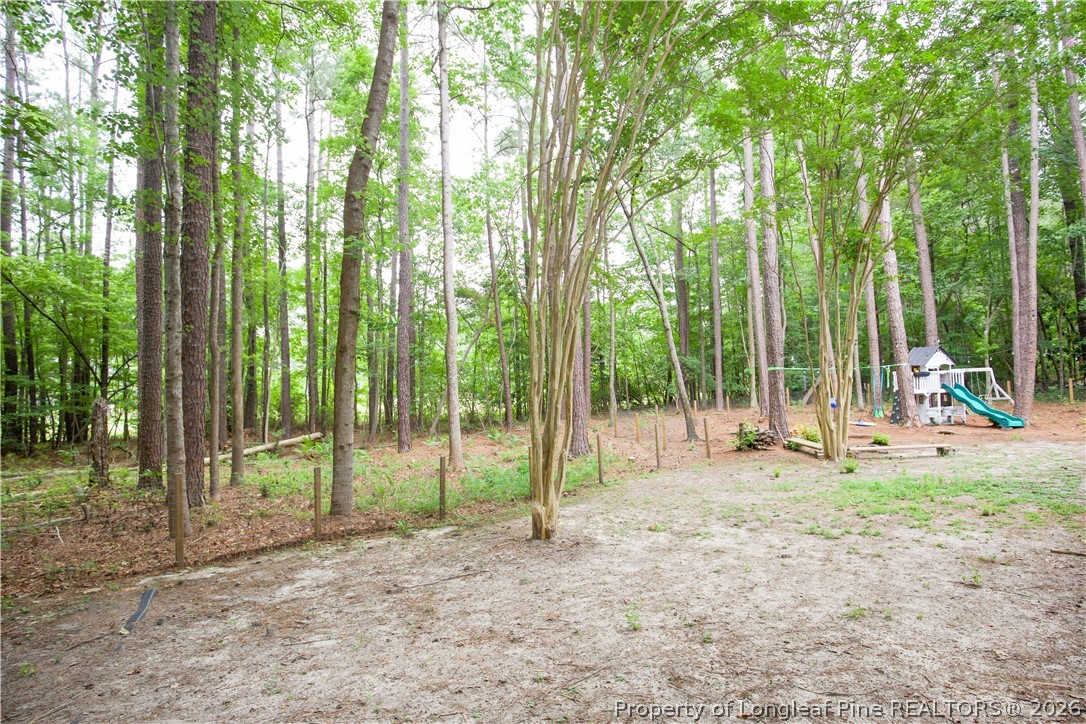 248 Chickory Place Vass, NC 28394 - Photo 50 of 50