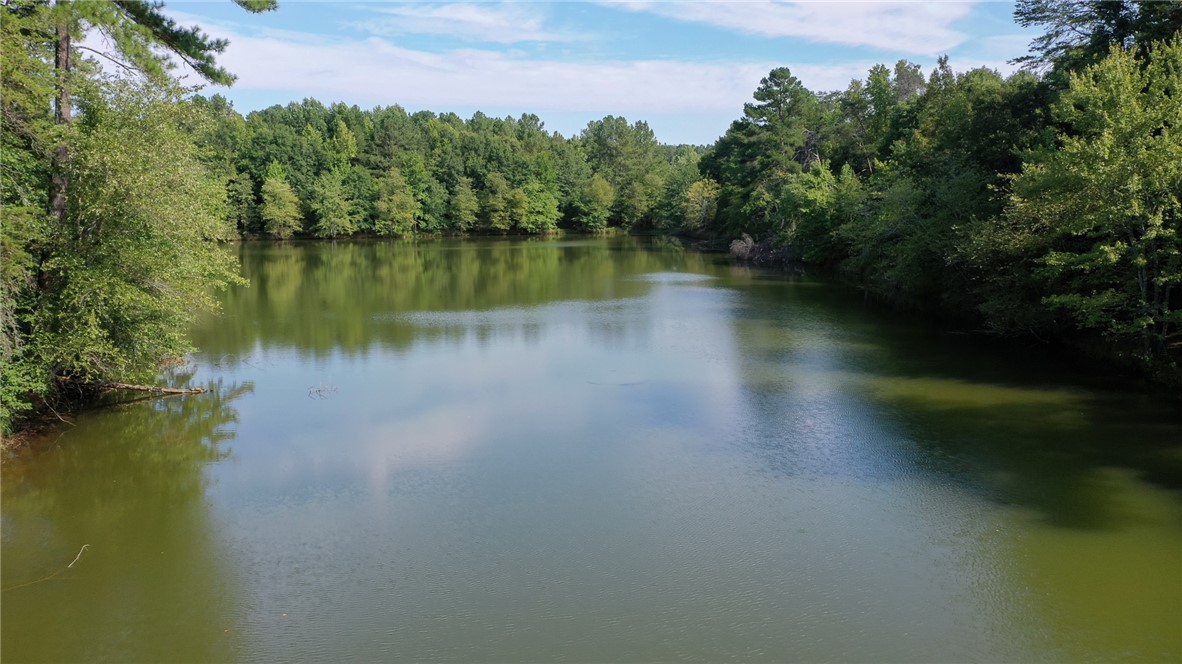 1208 Moorehead Place Pendleton, SC 29670 - Photo 24 of 34