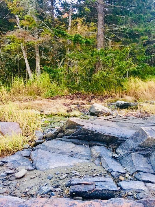 Off Pleasant Point Road Cushing, ME 04563 - Photo 18 of 28 0-20