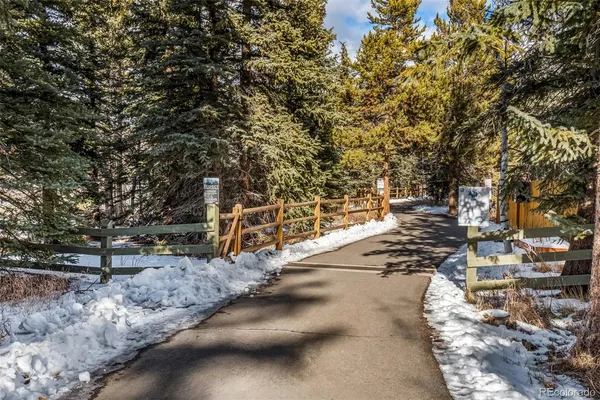 a view of a yard with plants and trees