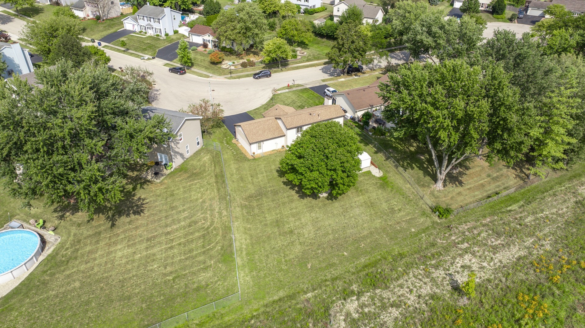 1151 Sandpebble Circle Algonquin, IL 60102 - Photo 6 of 34 a view of a yard with plants and large trees