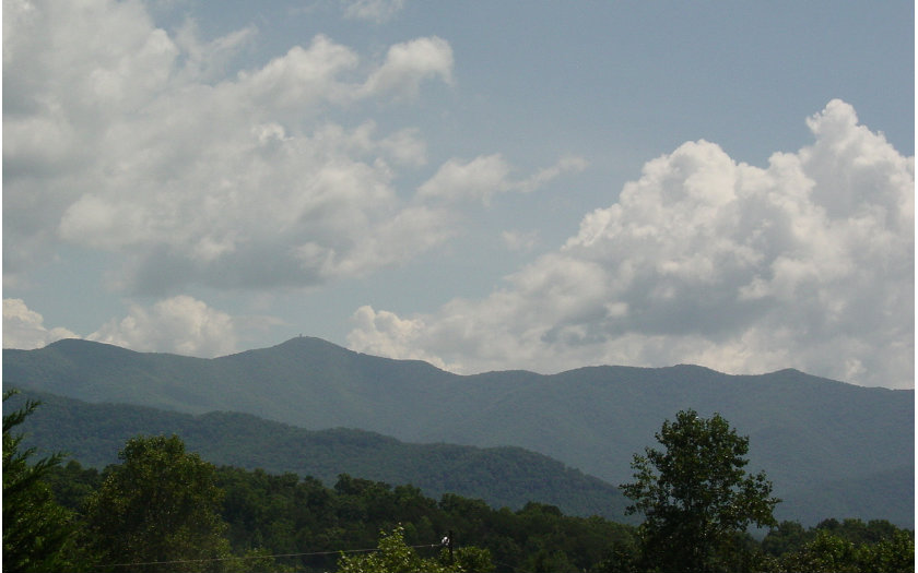Main View