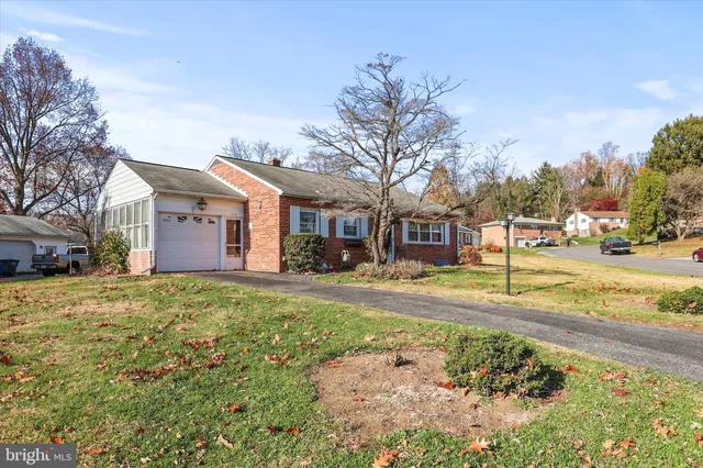 a view of a big yard with large trees
