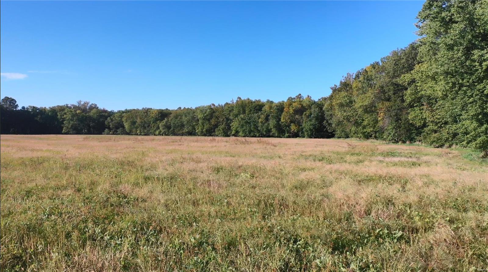 0 Substation Road Steeleville, IL 62288 - Photo 11 of 18