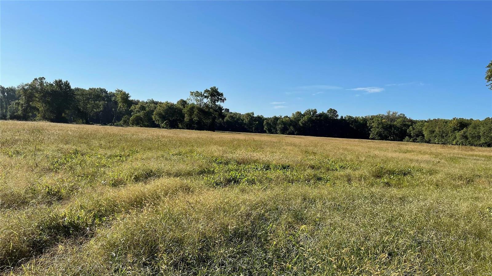 0 Substation Road Steeleville, IL 62288 - Photo 13 of 18