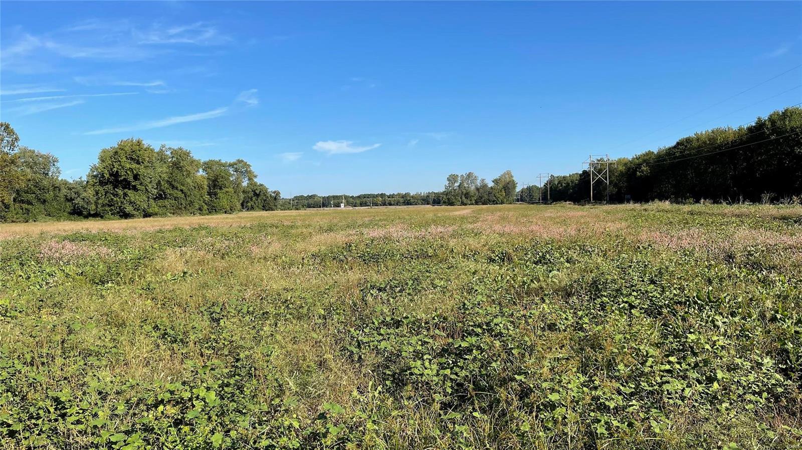 0 Substation Road Steeleville, IL 62288 - Photo 14 of 18