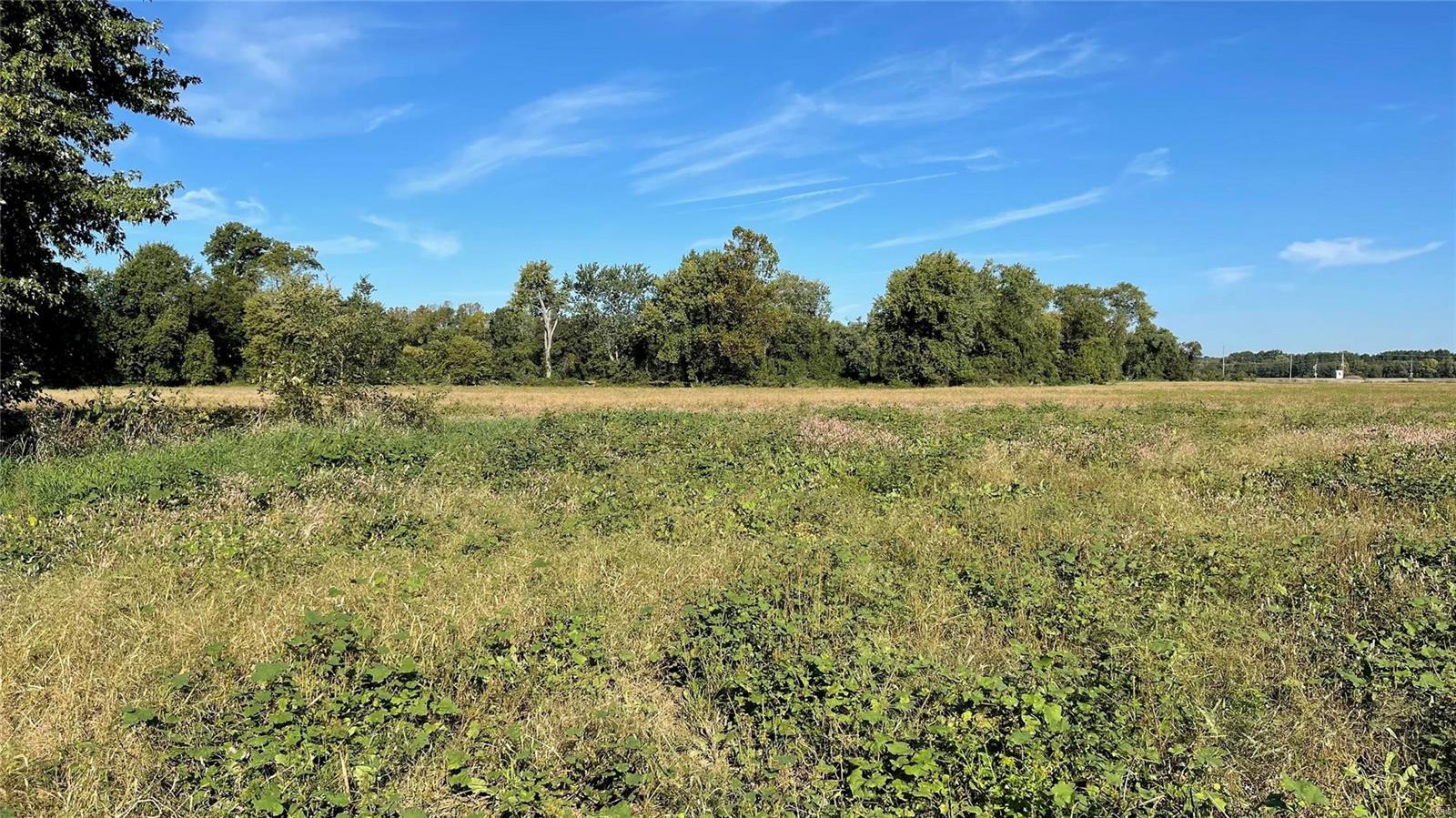 0 Substation Road Steeleville, IL 62288 - Photo 15 of 18
