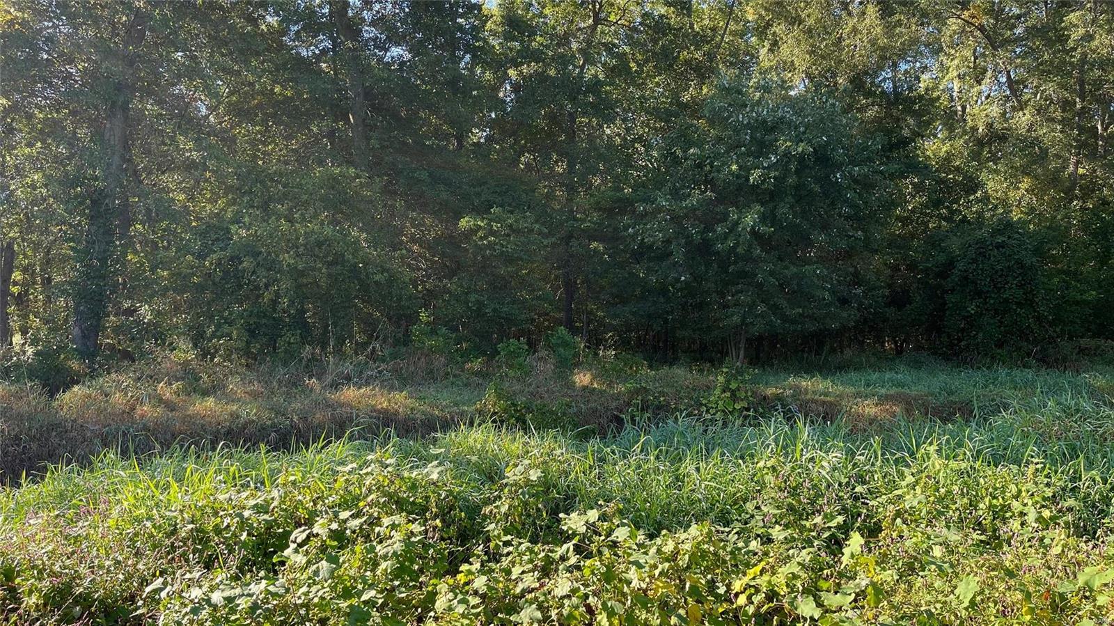 0 Substation Road Steeleville, IL 62288 - Photo 16 of 18