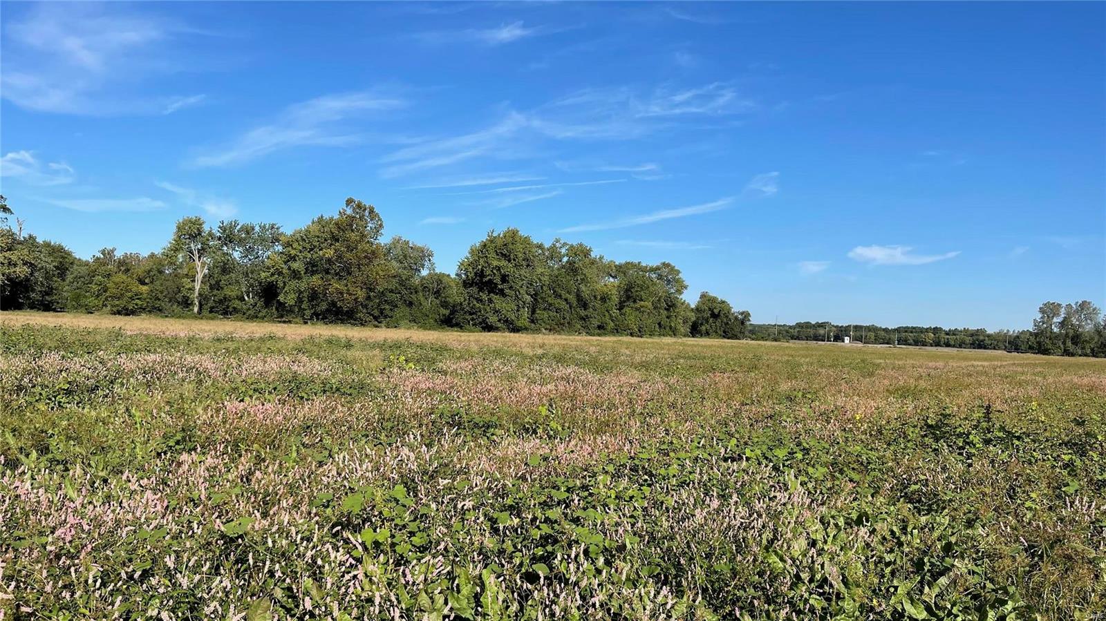 0 Substation Road Steeleville, IL 62288 - Photo 6 of 18