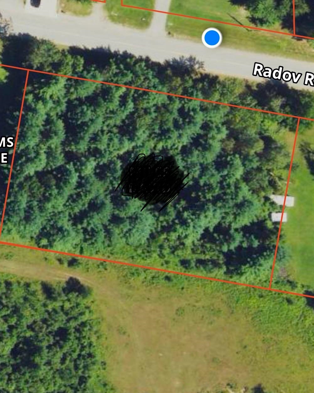 V/l Radov Road Gladwin, MI 48624 - Photo 5 of 5