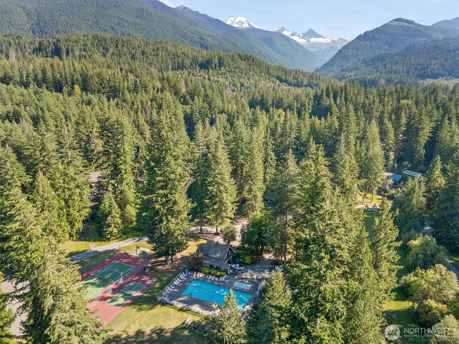 7101 Rainier Way Glacier, WA 98244 - Photo 34 of 40 a view of a yard with a tree
