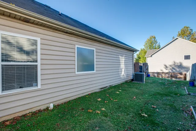 a view of a backyard with plants and a large tree