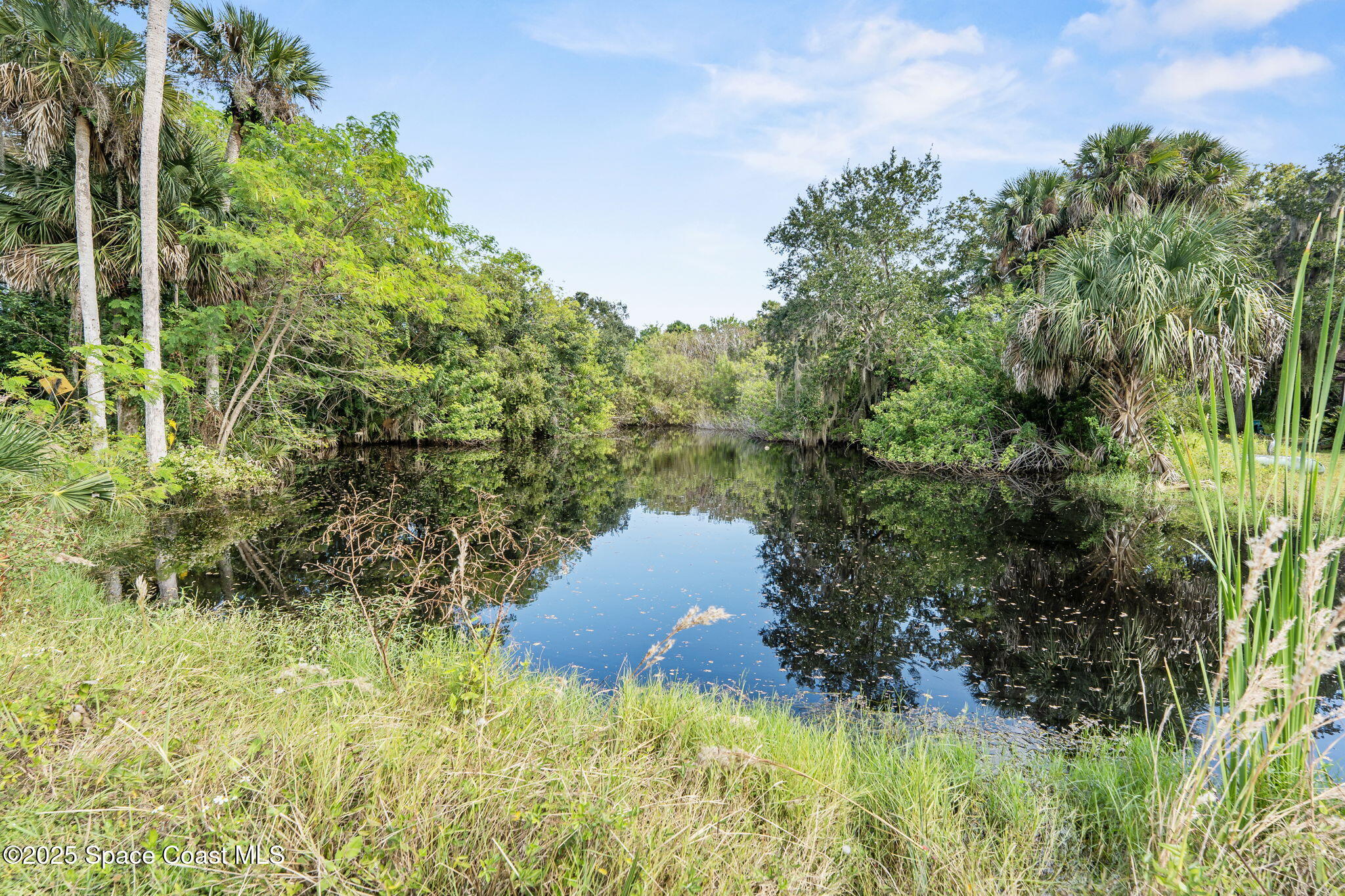 2821-2825 Lionel Road Mims, FL 32754 - Photo 31 of 42 a view of a lake from a yard