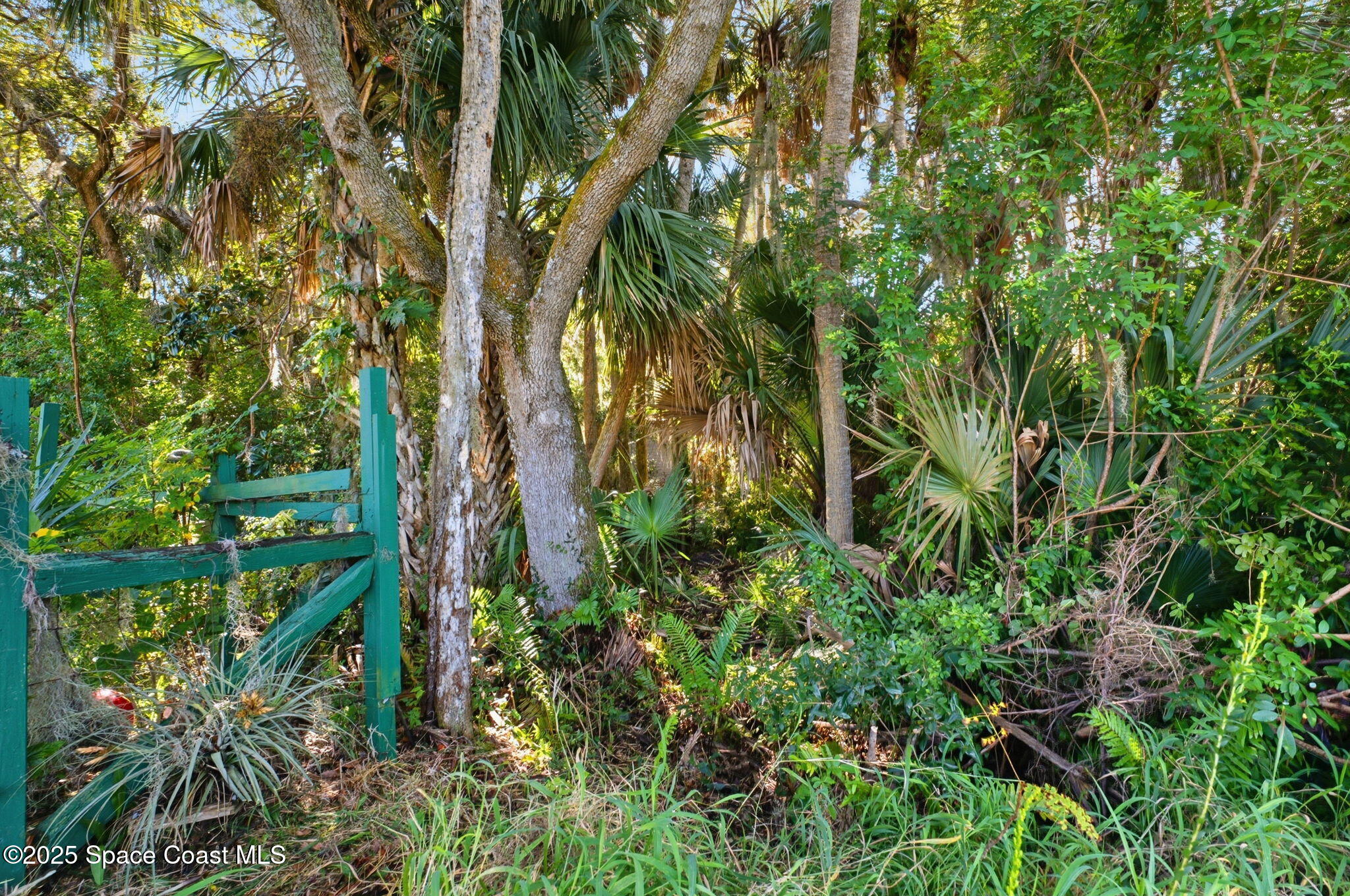 2821-2825 Lionel Road Mims, FL 32754 - Photo 32 of 42 a backyard of a house with lots of green space