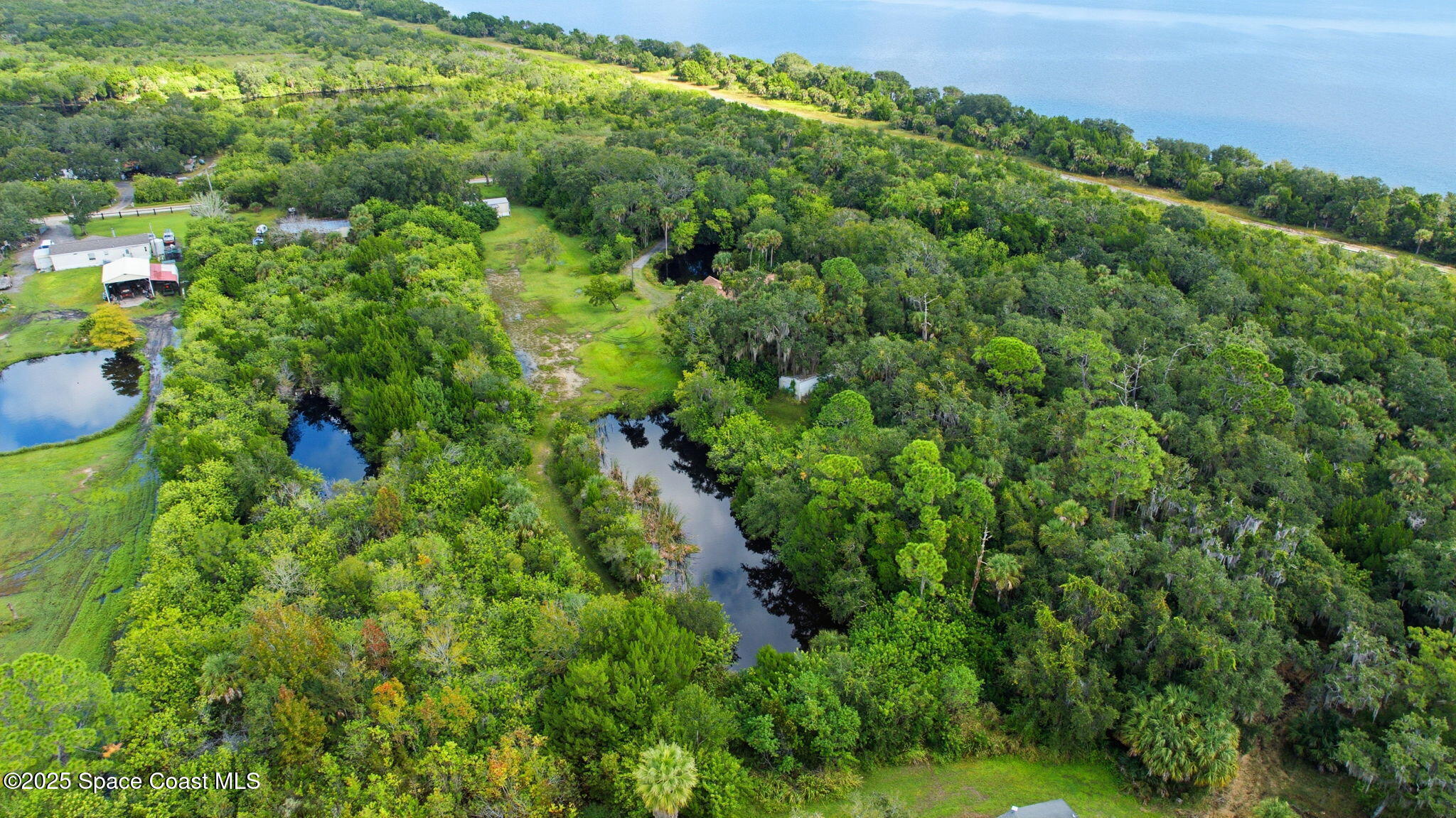 2821-2825 Lionel Road Mims, FL 32754 - Photo 34 of 42 a view of a lush green forest with lawn chairs and plants