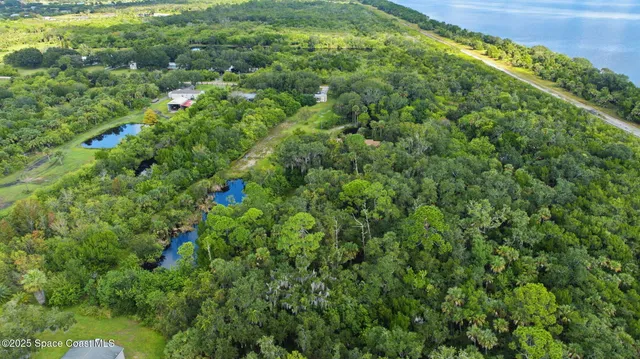 a view of a lush green forest with lots of trees