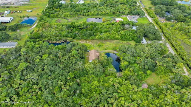 a view of a lush green forest with lots of trees