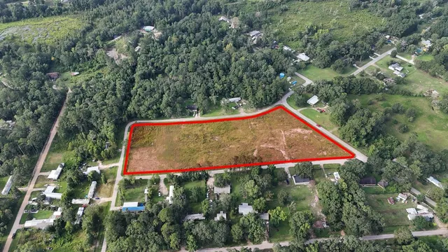 a view of a yard with potted plants and large trees