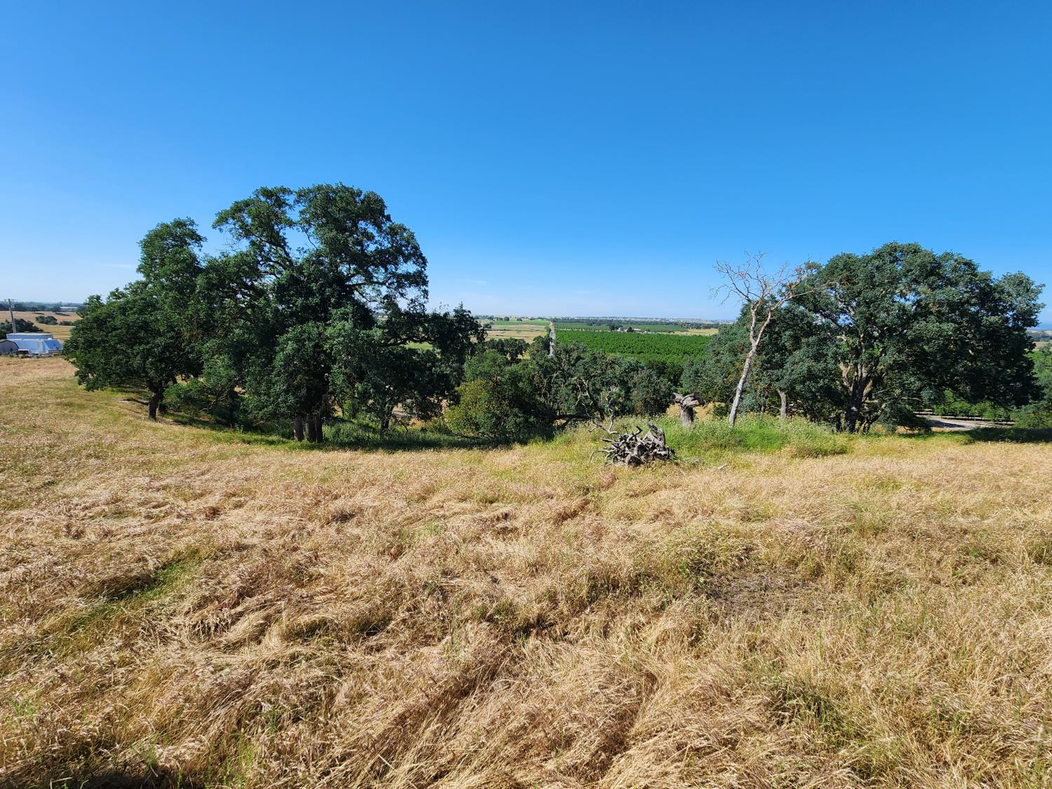 22601 North Johnson Road Clements, CA 95227 - Photo 27 of 39 a view of a yard with a tree