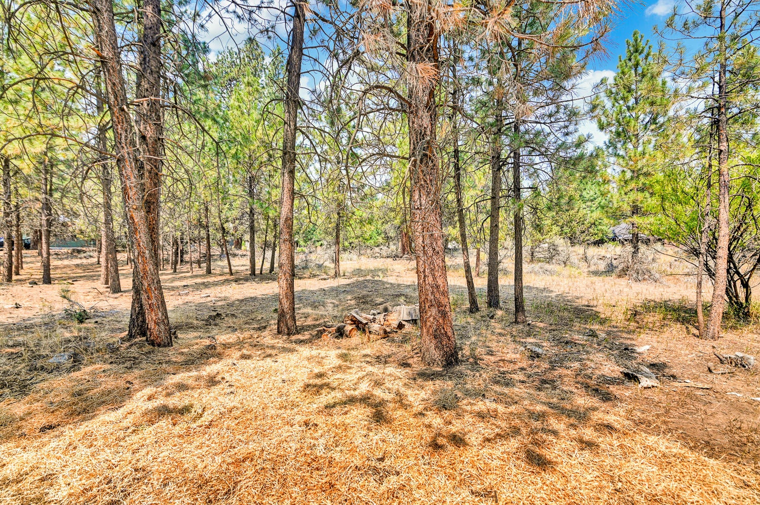 20280 Rae Road Bend, OR 97702 - Photo 13 of 16 20820 Rae Rd-13