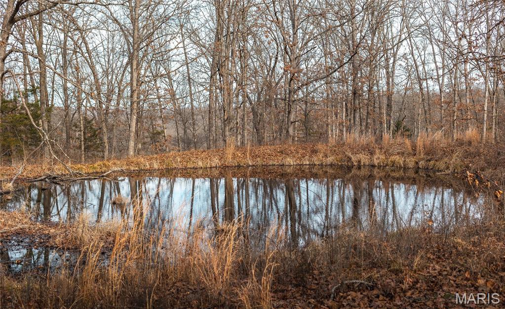 47 Mt Zion Road Tuscumbia, MO 65082 - Photo 39 of 52