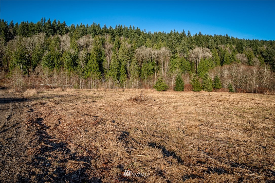 4439 Park Road Sedro-Woolley, WA 98284 - Photo 17 of 21 Gallery Image 17