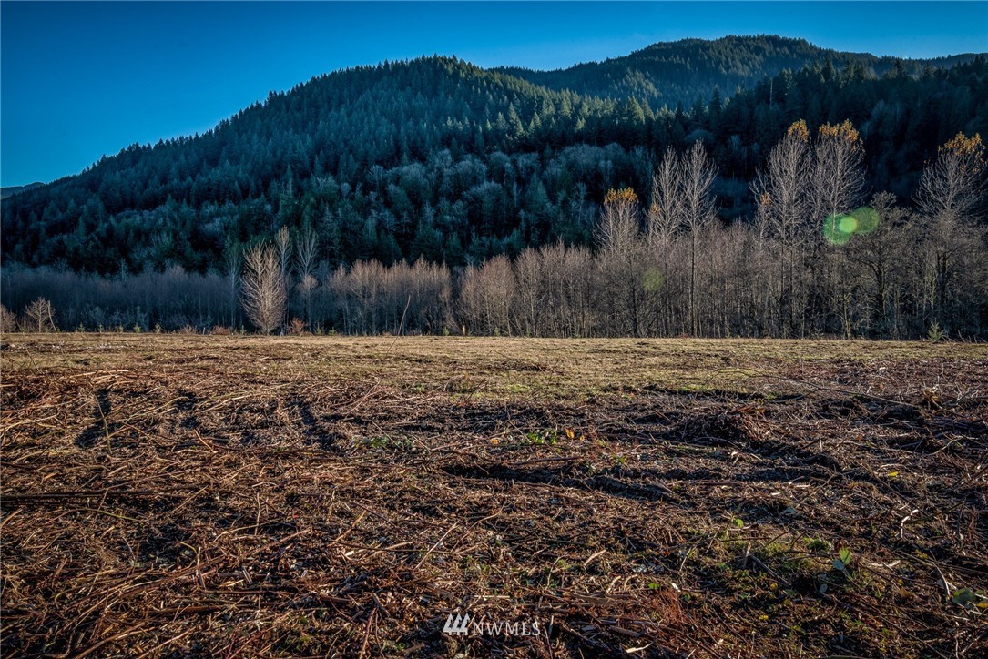 4439 Park Road Sedro-Woolley, WA 98284 - Photo 10 of 21 Gallery Image 10