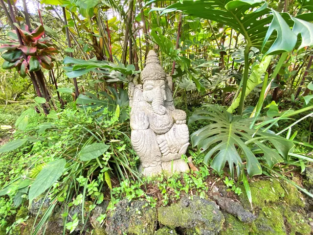 a plant that is in a garden