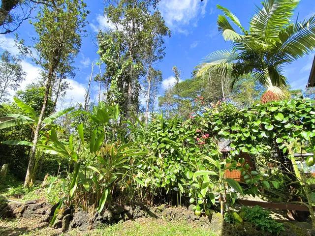 a white toilet sitting next to a window