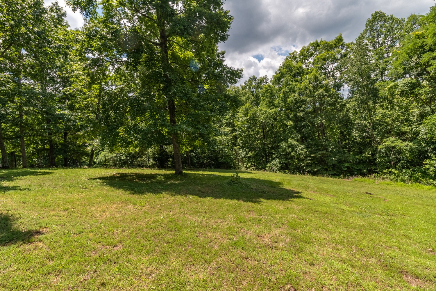 127 Shade Tree Court Pegram, TN 37143 - Photo 15 of 29