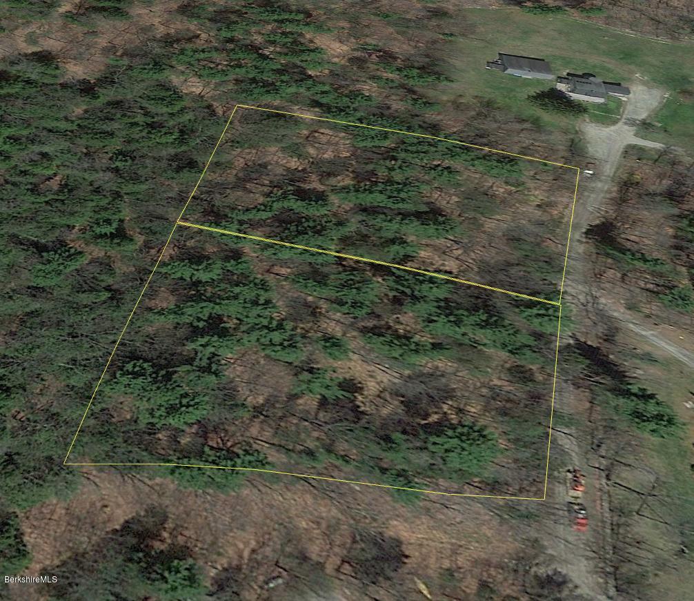 -lot 7 Smith Road Sandisfield, MA 01255 - Photo 3 of 7 a view of a forest with a sink