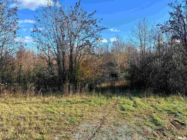 a view of a lake with a yard