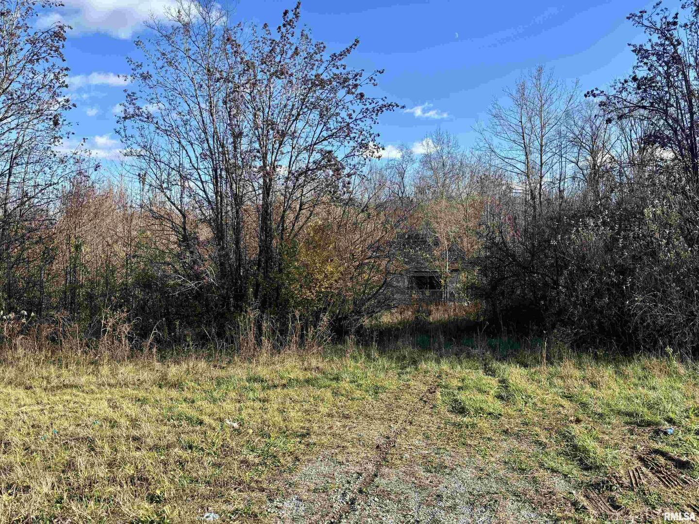 1475 Highway 127 Jonesboro, IL 62952 - Photo 2 of 11 a view of a lake with a yard