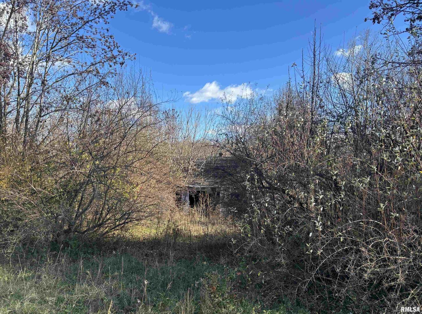 1475 Highway 127 Jonesboro, IL 62952 - Photo 3 of 11 a backyard of a house with lots of green space