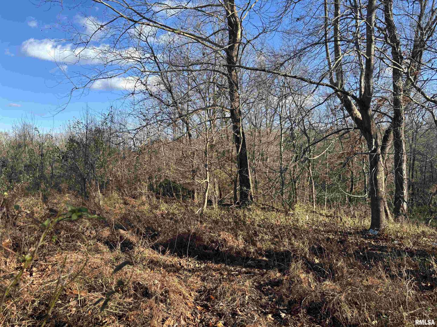 1475 Highway 127 Jonesboro, IL 62952 - Photo 5 of 11 a backyard of a house