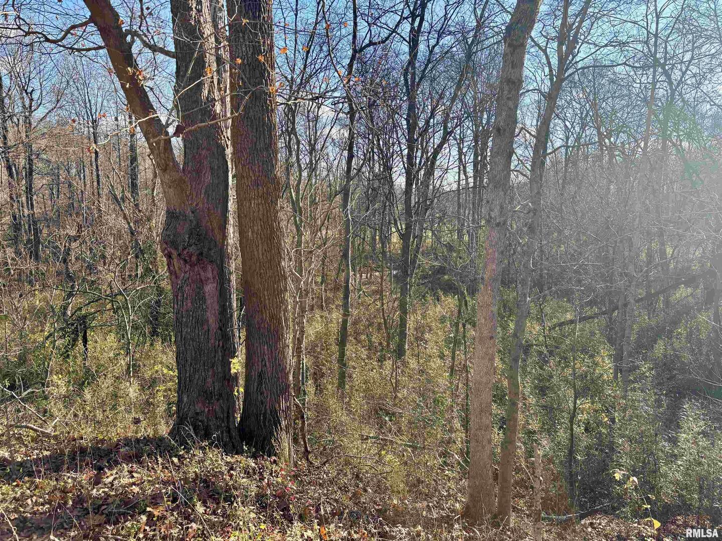 1475 Highway 127 Jonesboro, IL 62952 - Photo 6 of 11 a backyard of a house with lots of green space