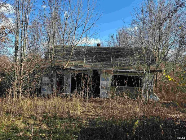 a view of house with trees in the background