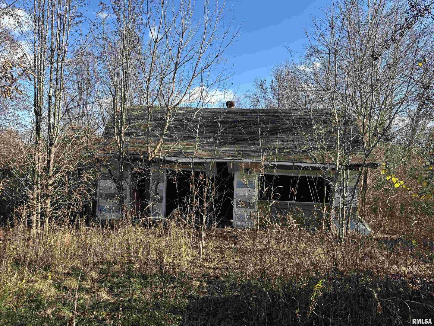 1475 Highway 127 Jonesboro, IL 62952 - Photo 8 of 11 a view of house with trees in the background